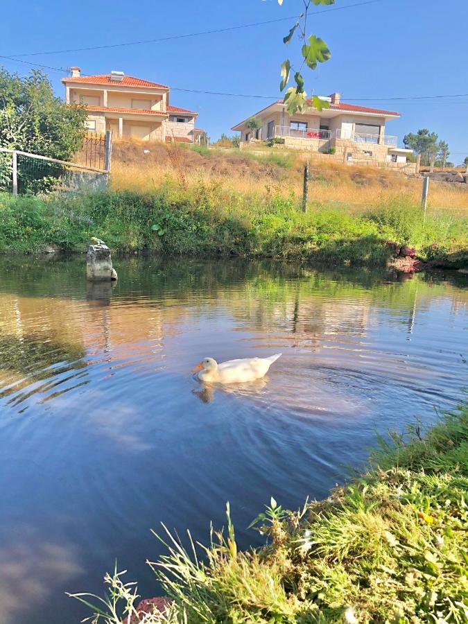 Вилла Casa Da Quinta Da Prelada Simao Partie Basse Селорику-ди-Башту Экстерьер фото