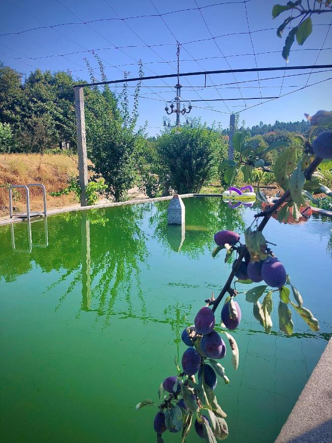 Вилла Casa Da Quinta Da Prelada Simao Partie Basse Селорику-ди-Башту Экстерьер фото