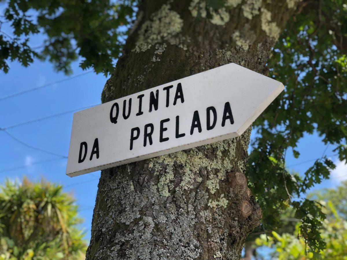 Вилла Casa Da Quinta Da Prelada Simao Partie Basse Селорику-ди-Башту Экстерьер фото