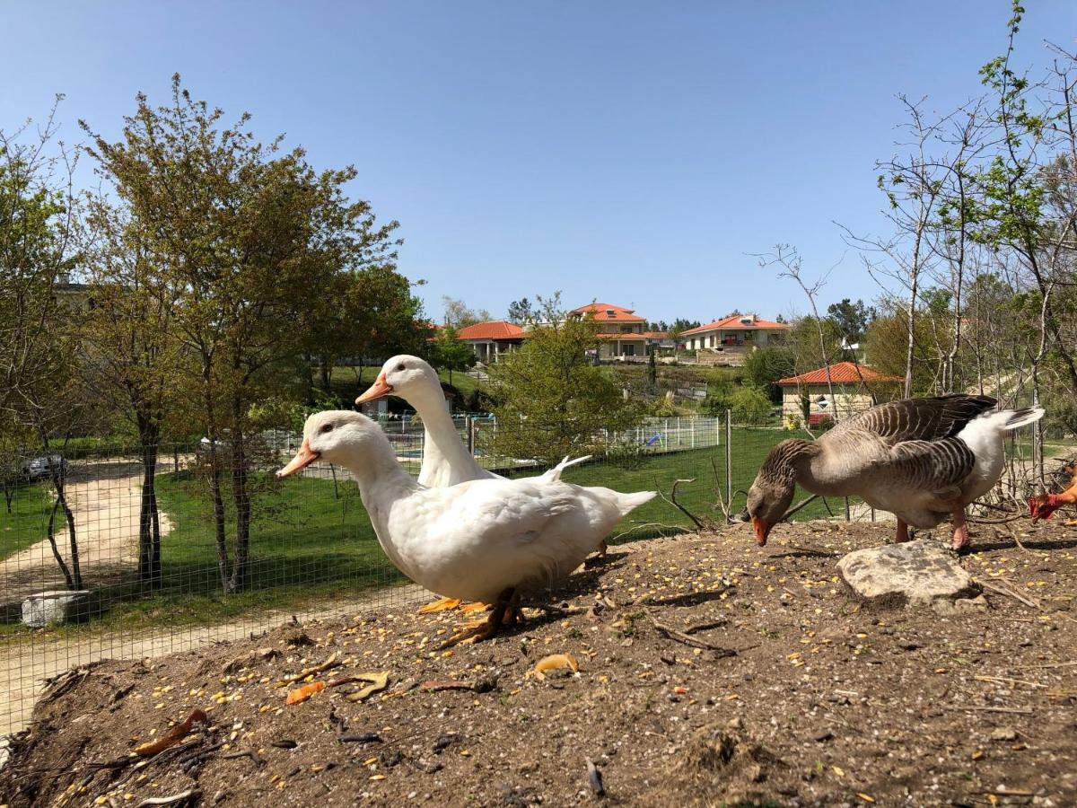 Вилла Casa Da Quinta Da Prelada Simao Partie Basse Селорику-ди-Башту Экстерьер фото
