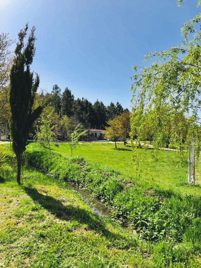 Вилла Casa Da Quinta Da Prelada Simao Partie Basse Селорику-ди-Башту Экстерьер фото